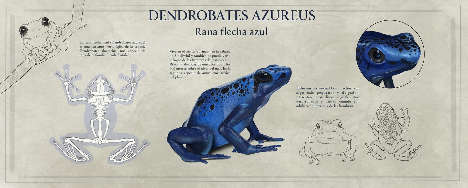 Ilustración científica