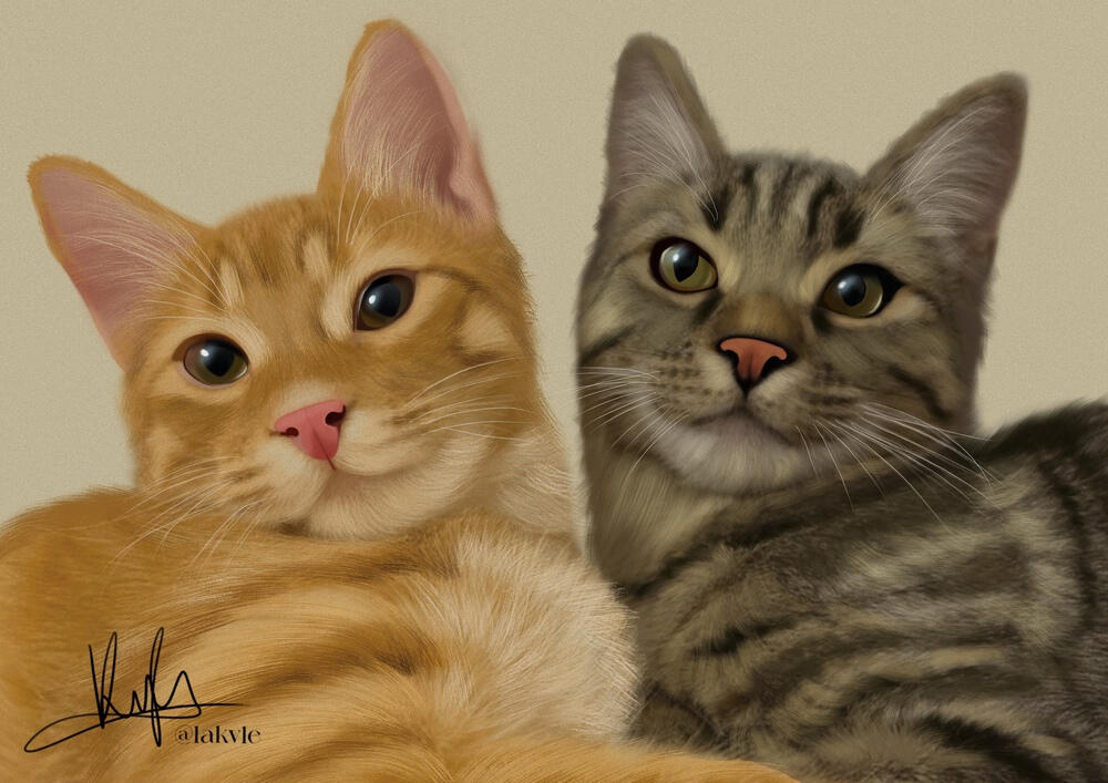 Encargo retrato gatitos