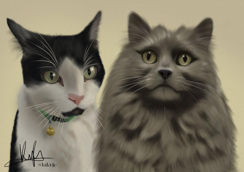 Encargo retrato gatitos